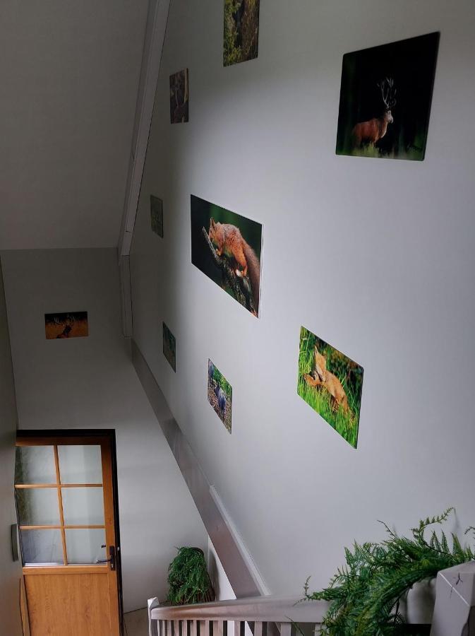 Appartamento O Baguenaudes Jalhay Esterno foto